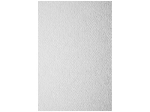 Papier dla plastyków Prisma - Favini - Bianco, A4, 160 g, 20 ark.