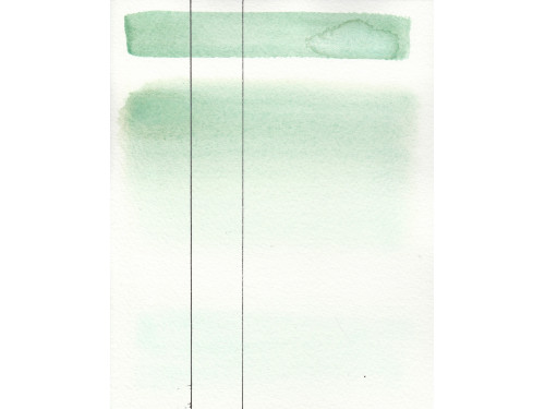 Aquarius watercolor paint - Roman Szmal - 501, Malachite, pan