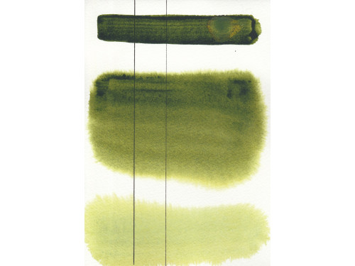 Aquarius watercolor paint - Roman Szmal - 342, Hooker's Green, pan