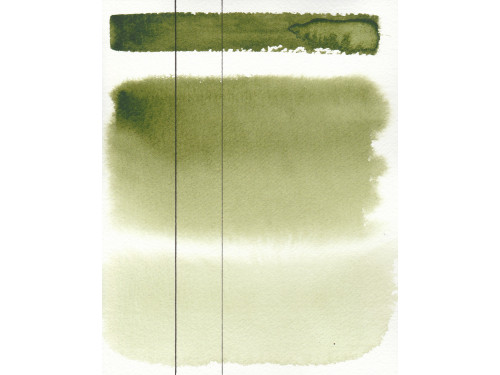 Aquarius watercolor paint - Roman Szmal - 252, Sap Green Light, pan