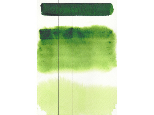 Aquarius watercolor paint - Roman Szmal - 233, Sap Green, pan