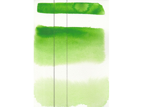 Aquarius watercolor paint - Roman Szmal - 231, Permanent Green Light, pan