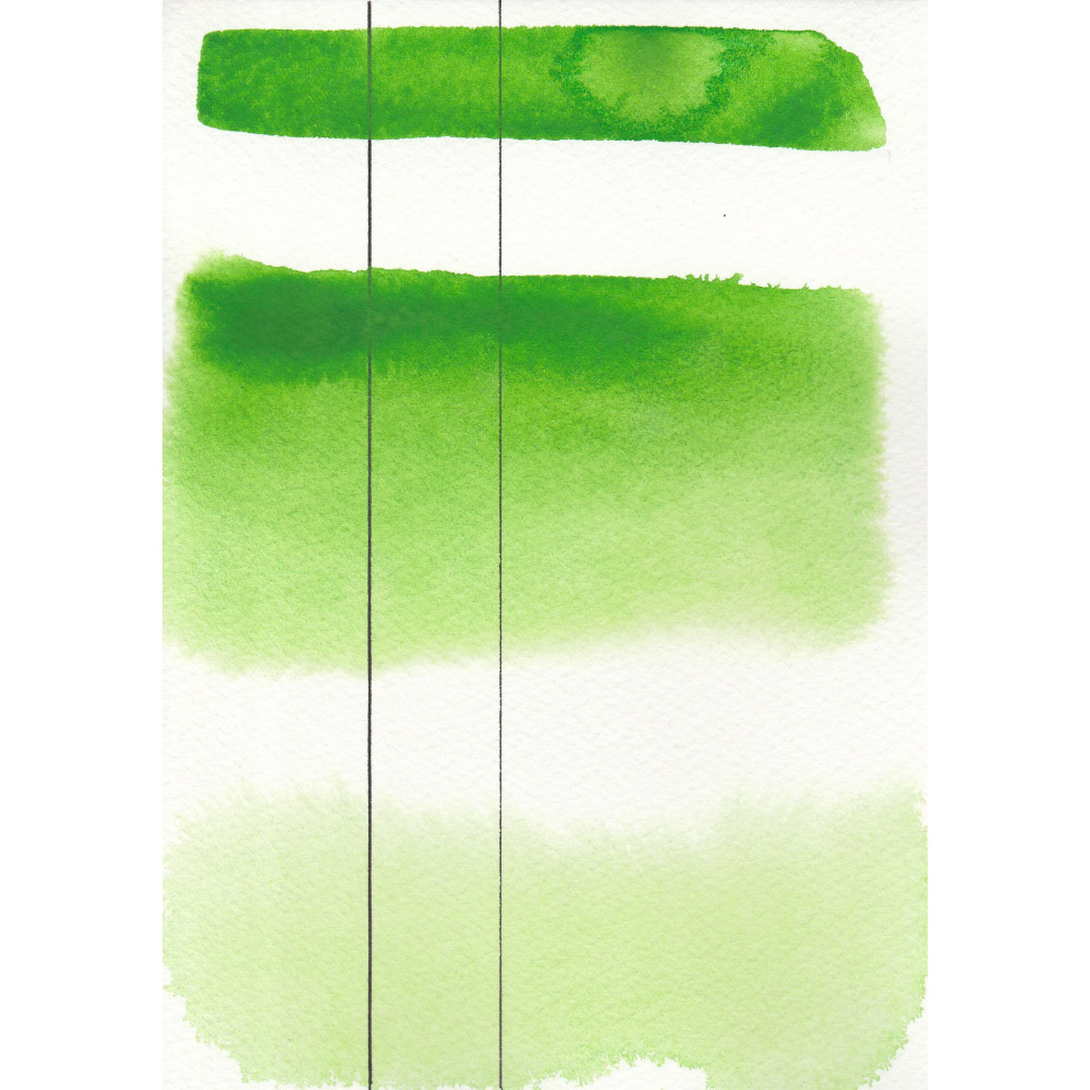 Aquarius watercolor paint - Roman Szmal - 231, Permanent Green Light, pan