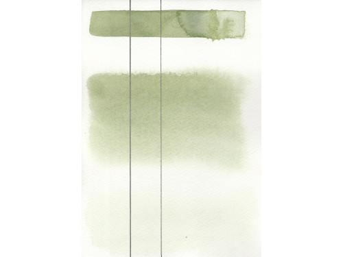 Aquarius watercolor paint - Roman Szmal - 105, Green Earth, pan