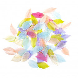 Decorative goose feathers - DpCraft - pastel, 6 cm, 5 g