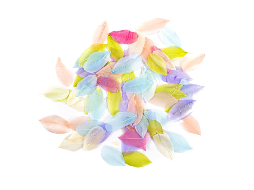 Decorative goose feathers - DpCraft - pastel, 6 cm, 5 g