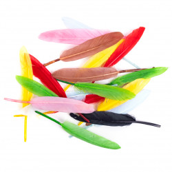 Decorative goose feathers - DpCraft - multicolor, 13 cm, 20 pcs