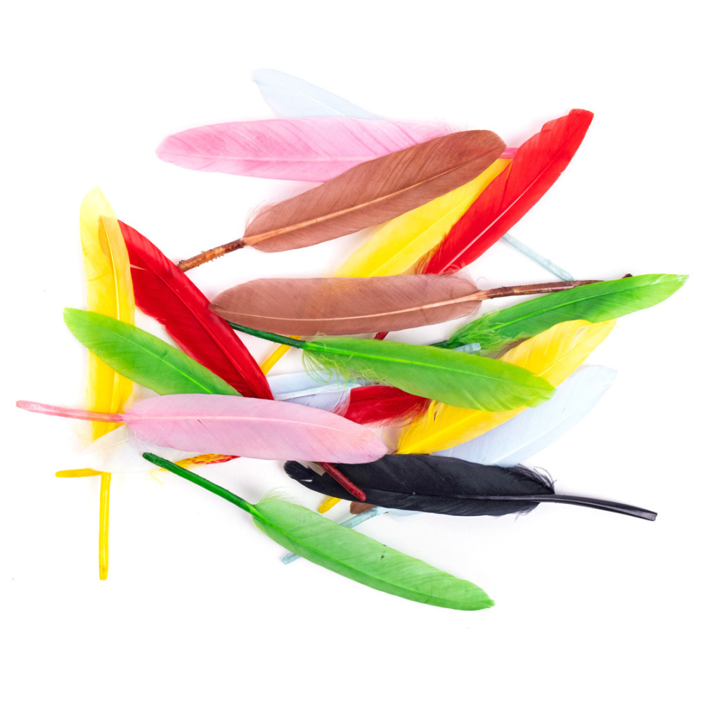 Decorative goose feathers - DpCraft - multicolor, 13 cm, 20 pcs