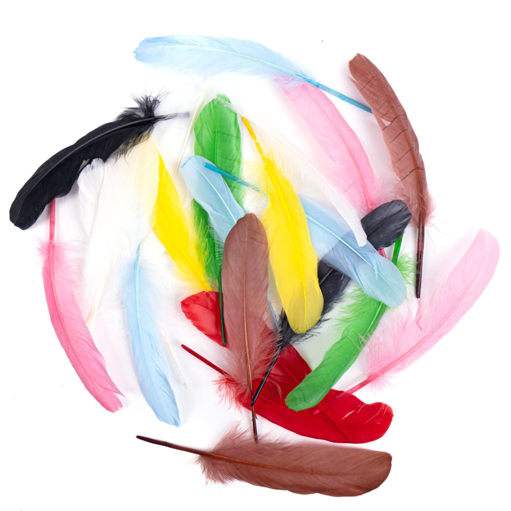 Decorative goose feathers - DpCraft - multicolor, 16 cm, 20 pcs