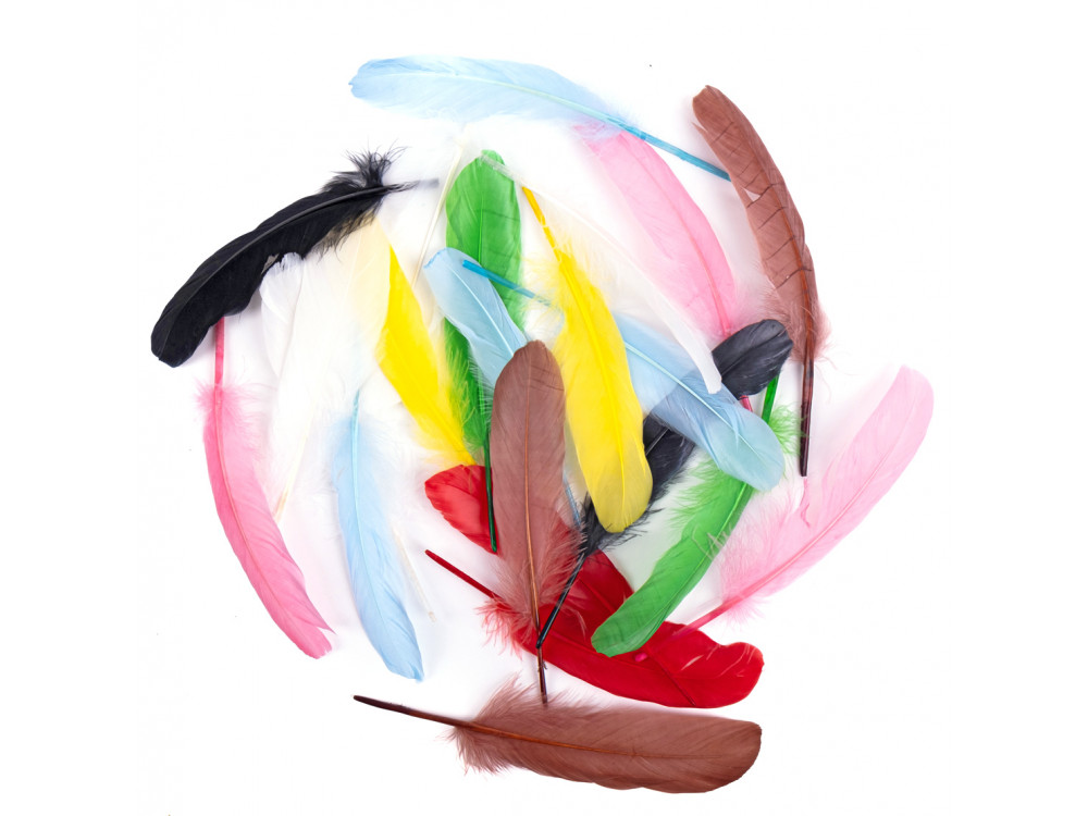 Decorative goose feathers - DpCraft - multicolor, 16 cm, 20 pcs