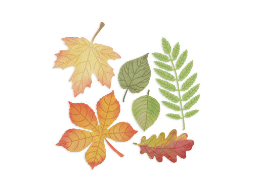 Set of cutting dies - DpCraft - Leaves, 6 pcs