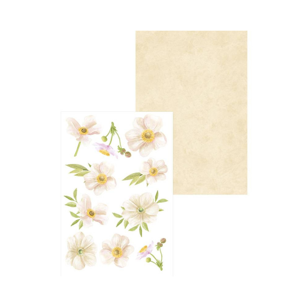 Zestaw papierów do scrapbookingu 10 x 15 cm - Piątek Trzynastego - Kwiaty