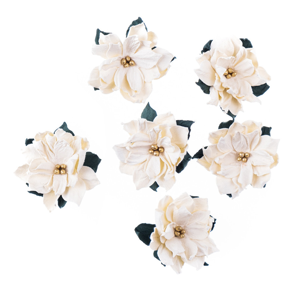 Kwiaty papierowe, Poinsecje - DpCraft - ecru, 5 cm, 6 szt.