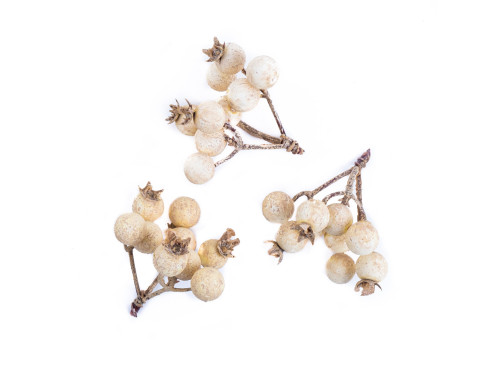 Twigs with berries - DpCraft - ecru, 3 pcs