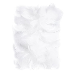 Decorative feathers - DpCraft - white, 10 g