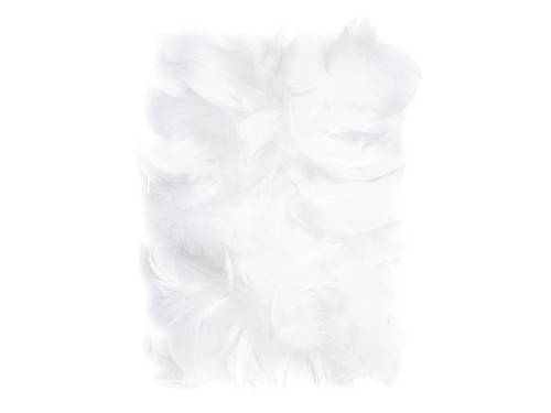 Decorative feathers - DpCraft - white, 10 g