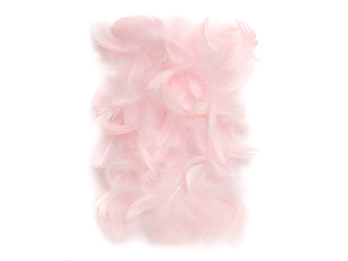 Decorative feathers - DpCraft - pink, 10 g