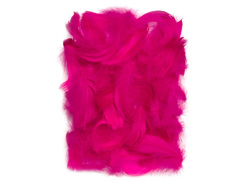 Decorative feathers - DpCraft - dark pink, 10 g