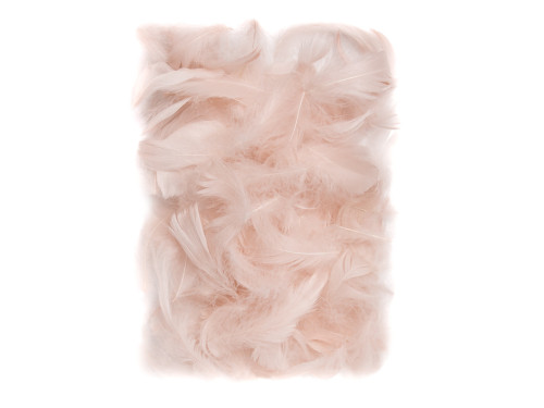 Piórka dekoracyjne - DpCraft - nude, 10 g