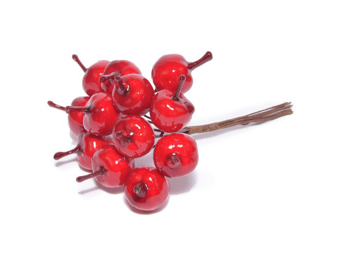 A bunch of rowans - 12 pcs.