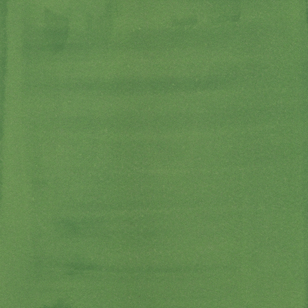 Professional Acrylic ink - Liquitex - Hooker's Green Hue Permanent, 30 ml