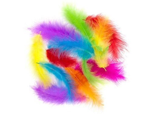 Piórka indycze - DpCraft - kolorowe, brights, 10 g