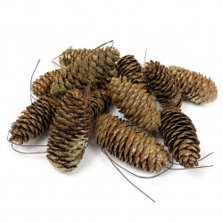 Pine cones with wires and glitter - gold, 12 pcs