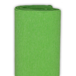 Crepe Paper 50 x 200 cm Light Green
