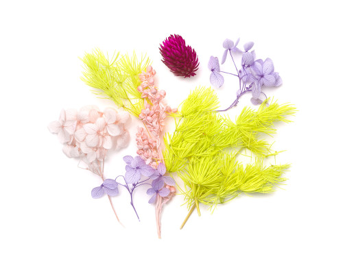 Dried decorative flowers - DpCraft - 5-11 cm, 8 pcs