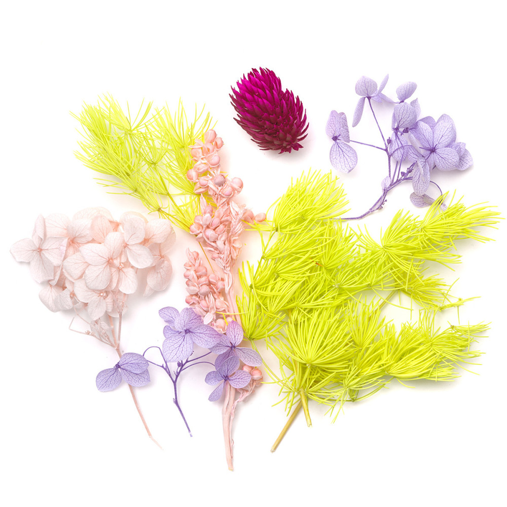 Suszone kwiaty dekoracyjne - DpCraft - 5-10 cm, 8 szt.