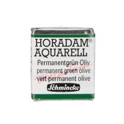 Horadam Aquarell watercolor paint - Schmincke - 534, Permanent Green Olive