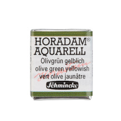 Horadam Aquarell watercolor paint - Schmincke - 525, Olive Green Yellowish