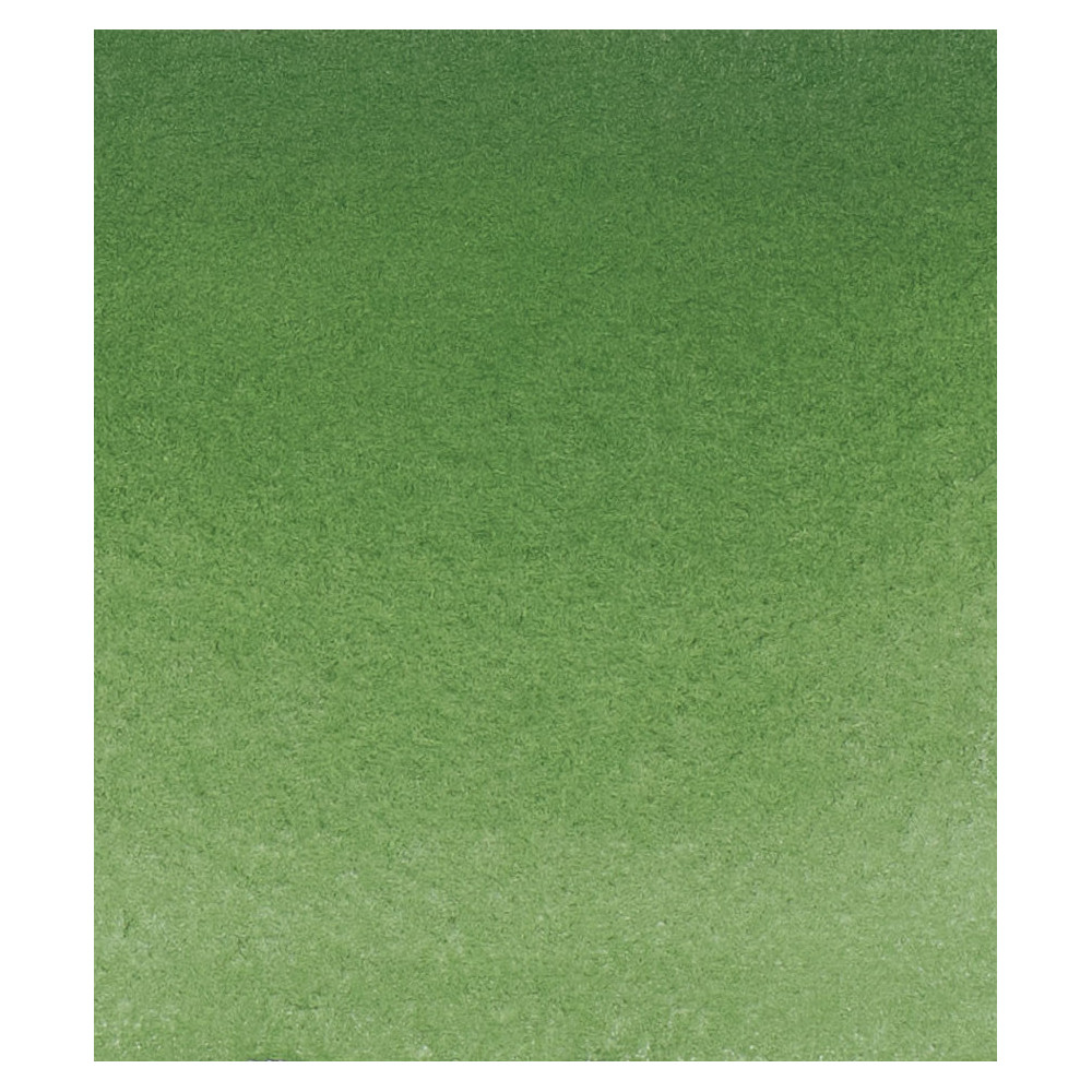 Horadam Aquarell watercolor paint - Schmincke - 512, Chromium Oxide Green, 15 ml