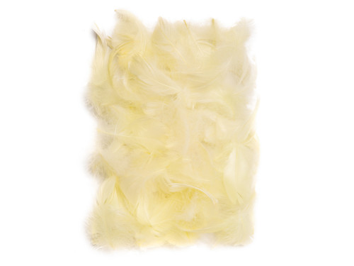 Decorative feathers - DpCraft - ecru, 10 g