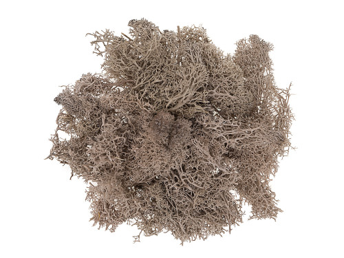 Dekoracyjny mech - DpCraft - brązowy, 30 g