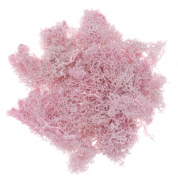 Decorative moss - DpCraft - pink, 30 g