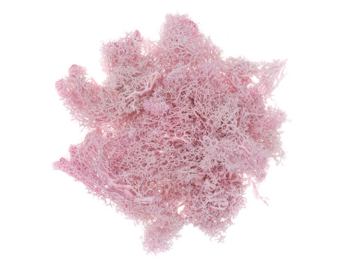 Decorative moss - DpCraft - pink, 30 g