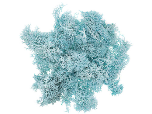 Decorative moss - DpCraft - turquoise, 30 g