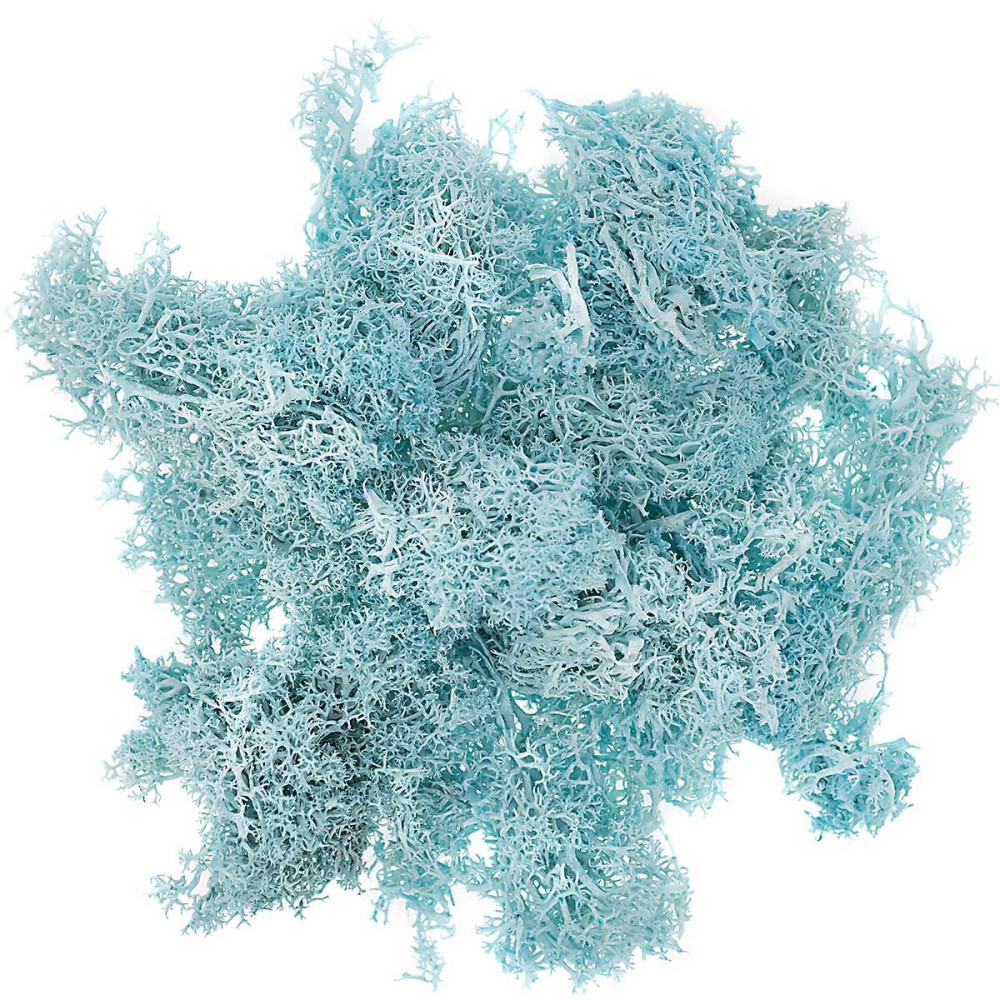 Decorative moss - DpCraft - turquoise, 30 g