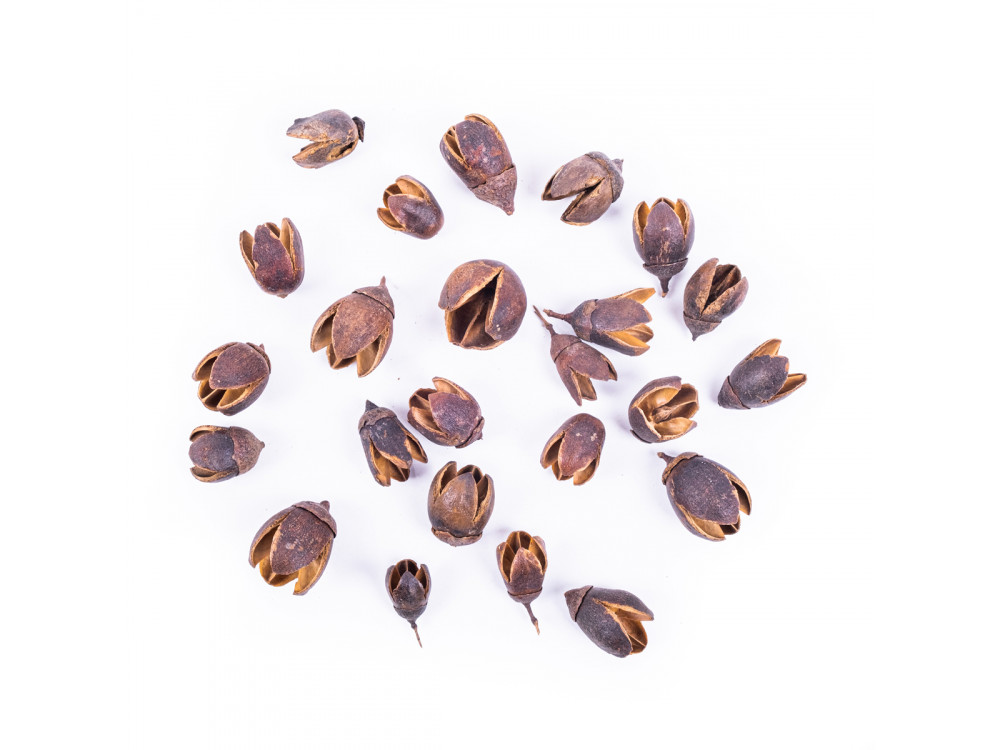 Suszone owoce Bakuli - DpCraft - 3-4 cm, 50 g