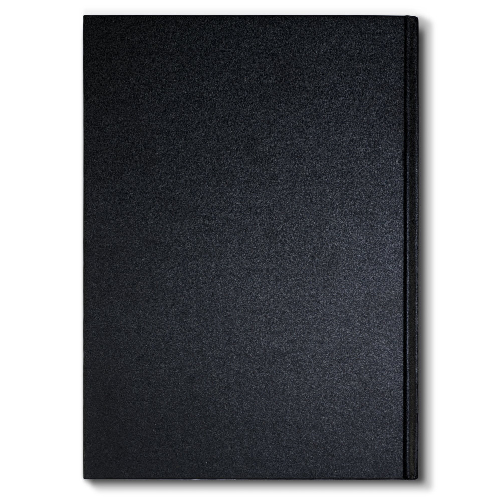 Cahier à dessin Winsor & Newton A4 8 1/2 x 11 110g couverture rigide 80f  par