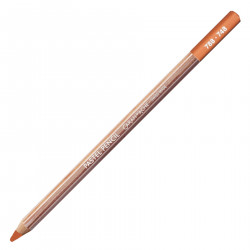 Dry Pastel Pencil - Caran d'Ache - 748, Dark Flesh