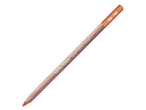 Dry Pastel Pencil - Caran d'Ache - 748, Dark Flesh