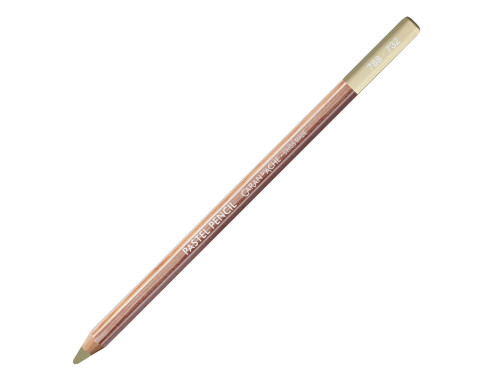 Dry Pastel Pencil - Caran d'Ache - 732, Brown Olive 10%