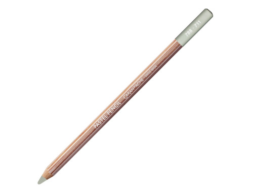 Pastela sucha w kredce Pastel Pencil - Caran d'Ache - 711, Green Earth