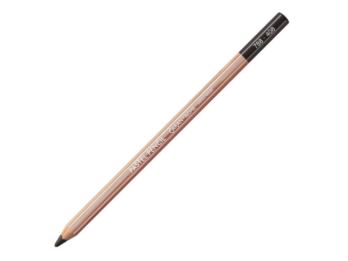 Dry Pastel Pencil - Caran d'Ache - 408, Dark Sepia