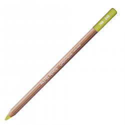 Dry Pastel Pencil - Caran d'Ache - 245, Light Olive 40%