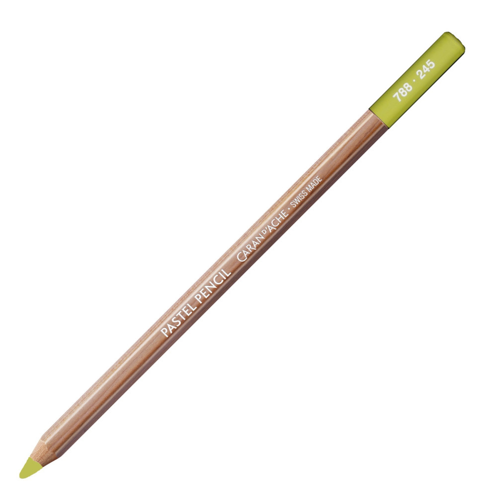Dry Pastel Pencil - Caran d'Ache - 245, Light Olive 40%