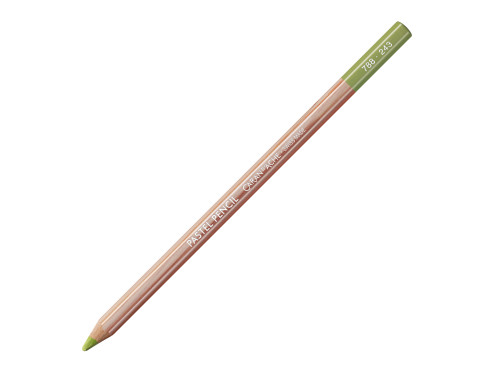 Dry Pastel Pencil - Caran d'Ache - 243, Light Olive 20%