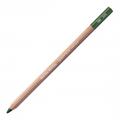 Pastela sucha w kredce Pastel Pencil - Caran d'Ache - 229, Dark Green
